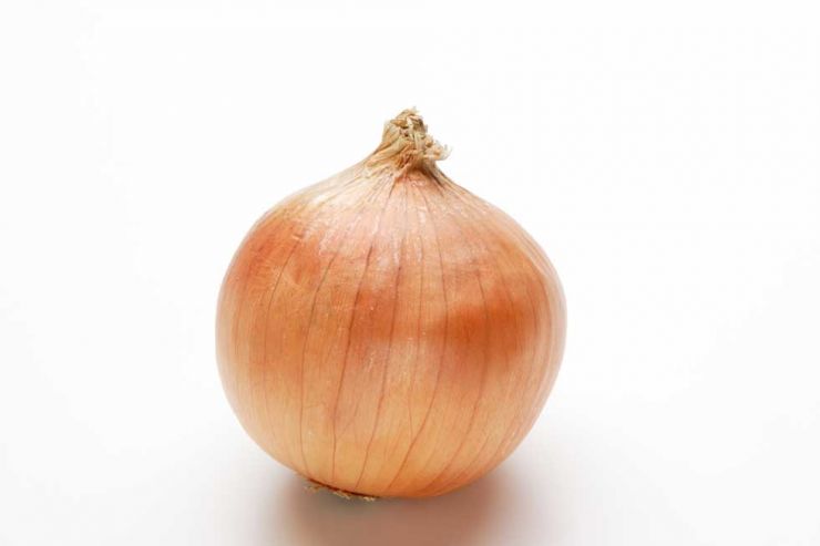 食育食材辞典 たまねぎ（玉葱） 英名：onion  原産：原産地はウズベキスタンとされています。